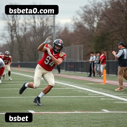 Estatísticas bsbet novembro 2024 - 87 mil jogadores ativos, R$47M pagos, RTP 96.52%